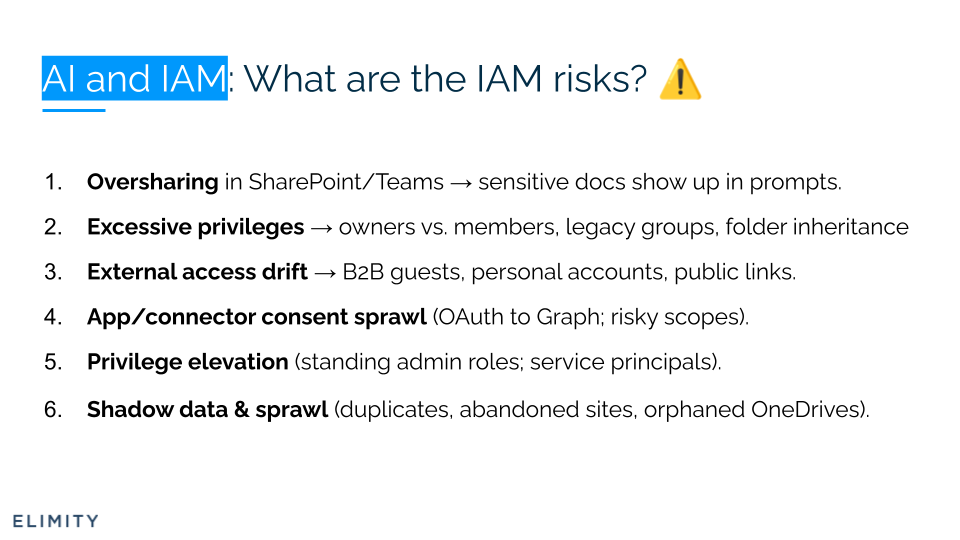 Elimity - The Main IAM Risks Before Deploying Copilot