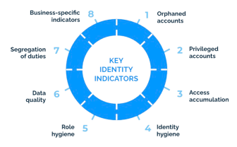 Identity Wheel - Key Identity Indicators without background