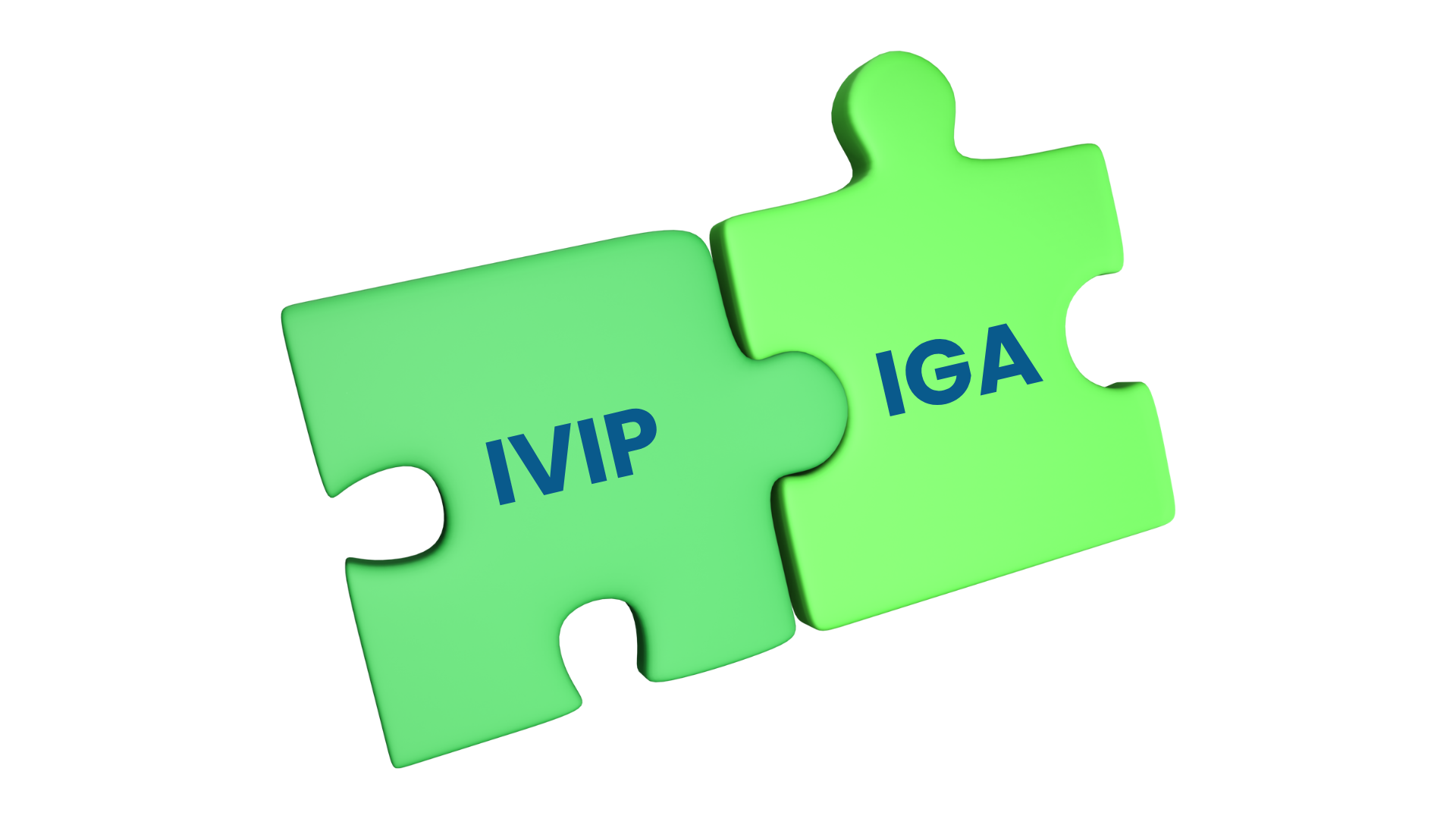 Elimity IVIP - Puzzle