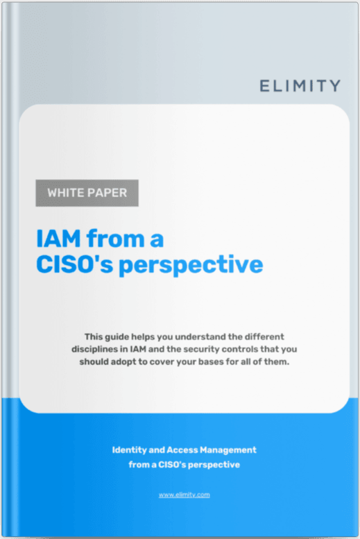 Guide — IAM from a CISO's Perspective